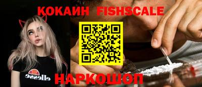 крисы Моздок