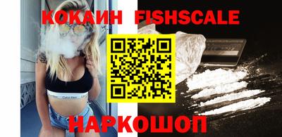 крисы Моздок