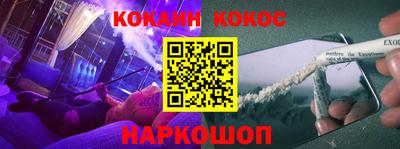 крисы Моздок