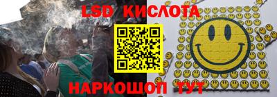 амф Можга