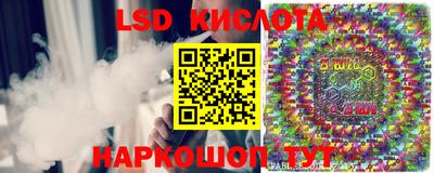 амф Можга