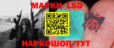 крисы Моздок