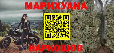 крисы Моздок