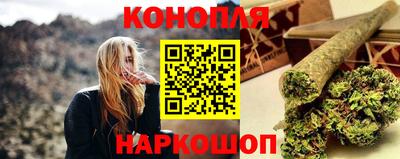 крисы Моздок