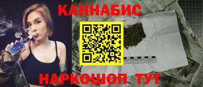 крисы Моздок