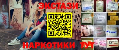 крисы Моздок