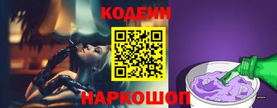 крисы Моздок