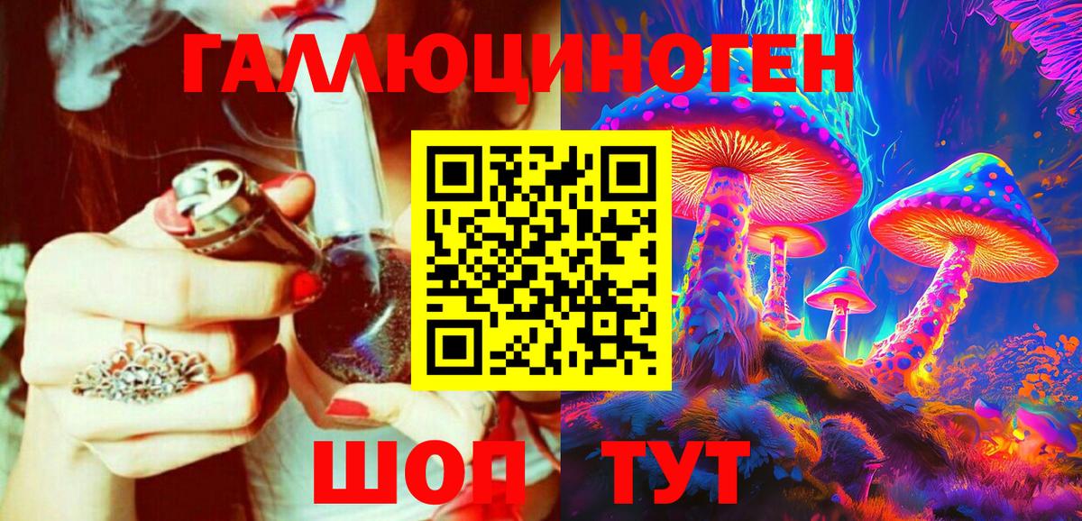 Галлюциногенные грибы Psilocybine cubensis  Вход с VPN  Псилоцибиновые грибы Cubensis  Торжок 