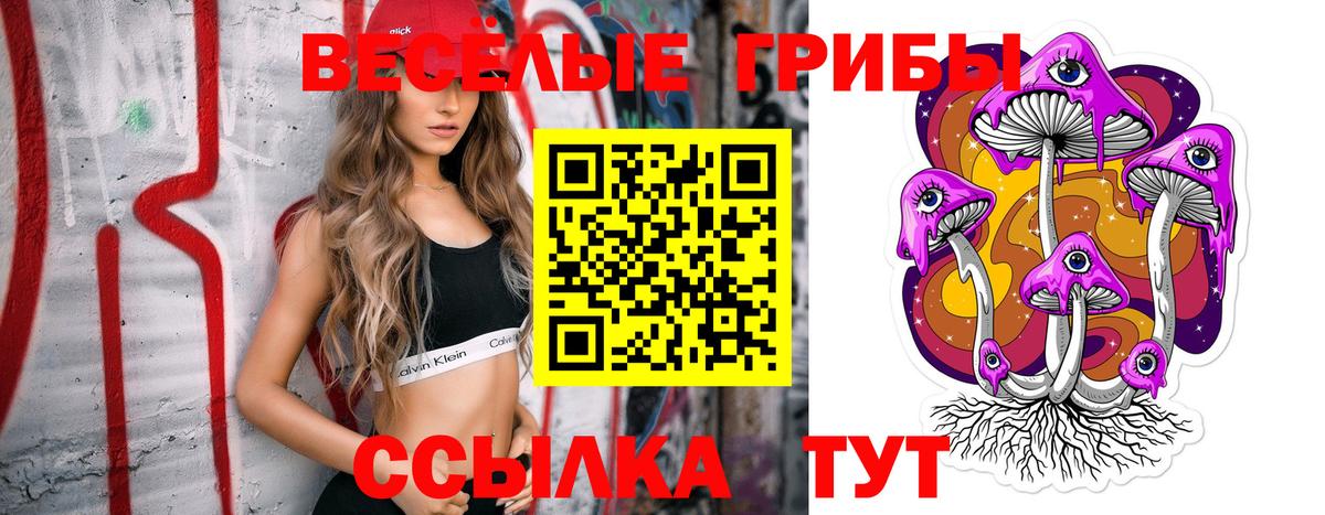 Галлюциногенные грибы мухоморы Торжок